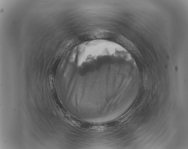 X0000073890169200609011702