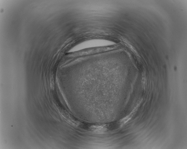 X0000073890170200609011702