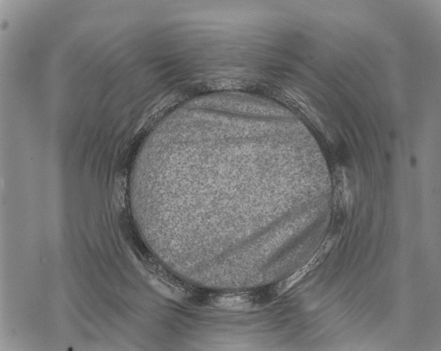 X0000073890171200609011702