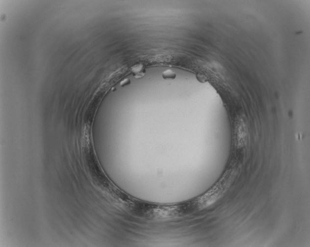 X0000073890172200609011702