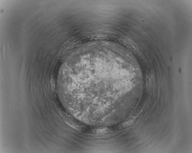 X0000073890173200609011702