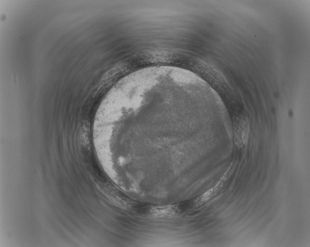 X0000073890175200609011702