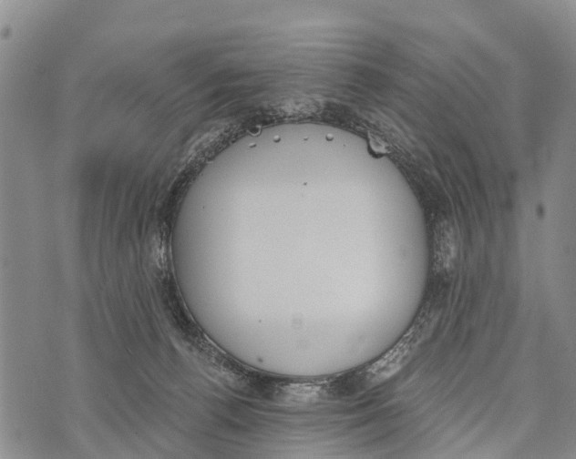 X0000073890176200609011702