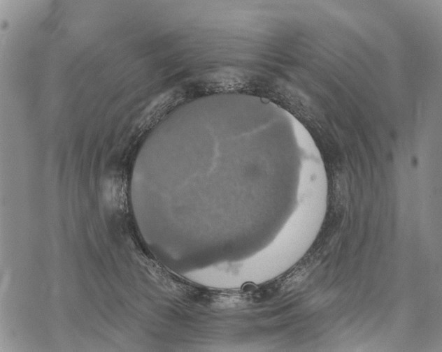 X0000073890177200609011702