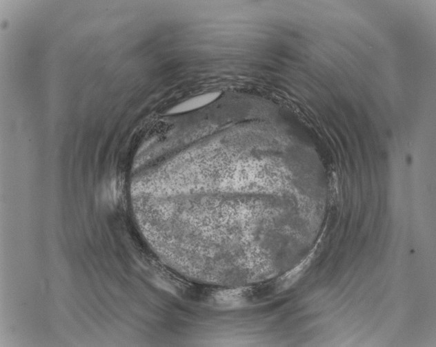 X0000073890178200609011702