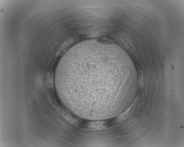 X0000073890179200609011702