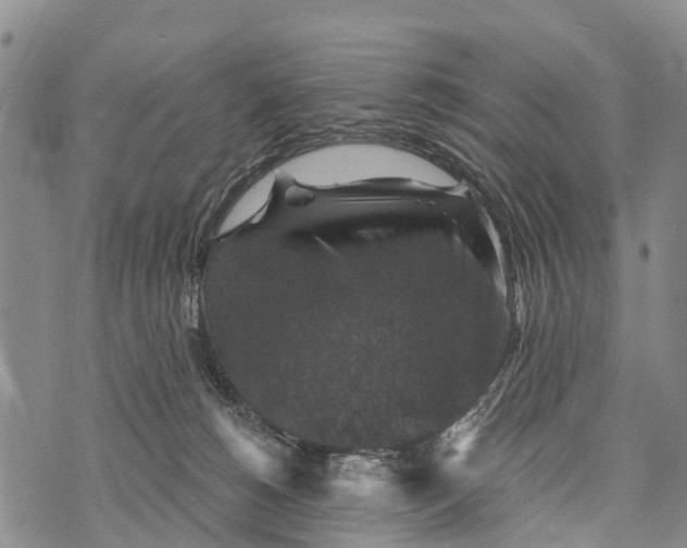 X0000073890180200609011702