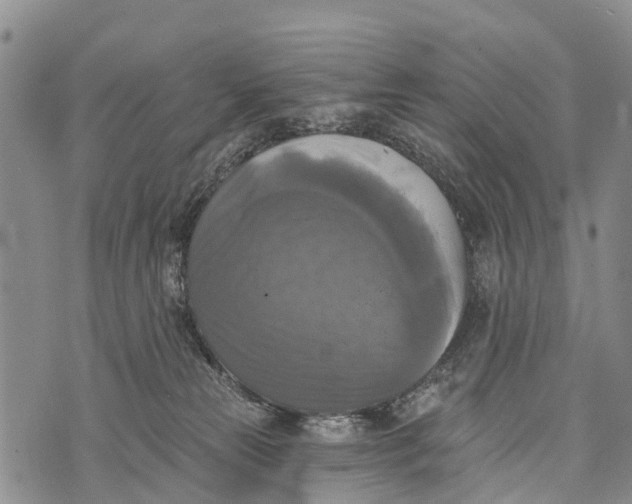 X0000073890181200609011702