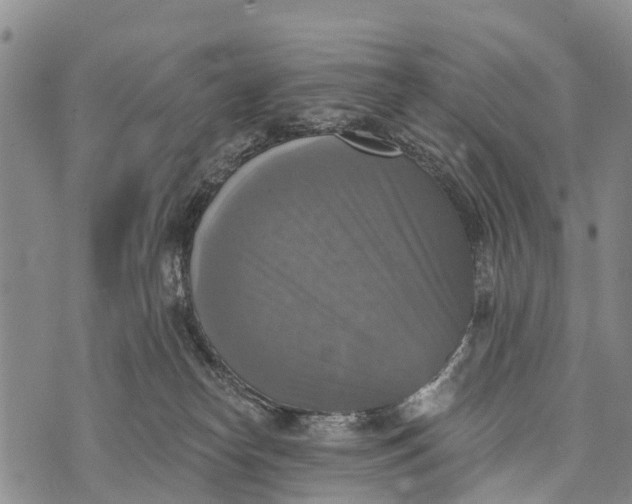 X0000073890182200609011702