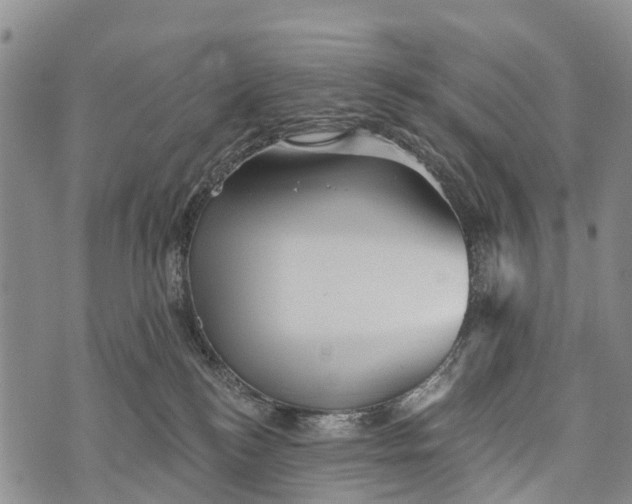 X0000073890184200609011702