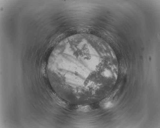 X0000073890185200609011702