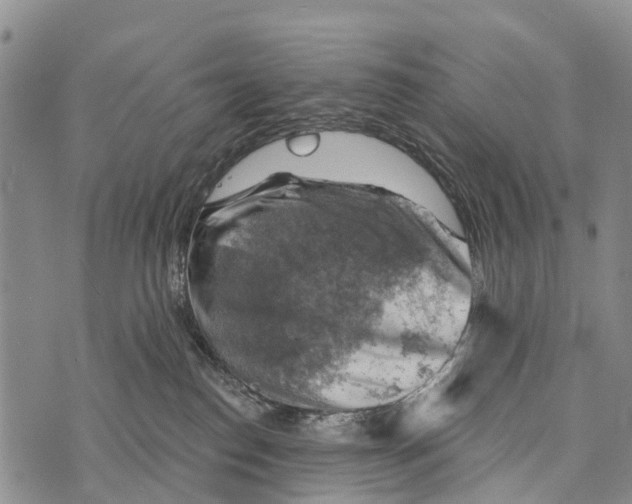 X0000073890186200609011702