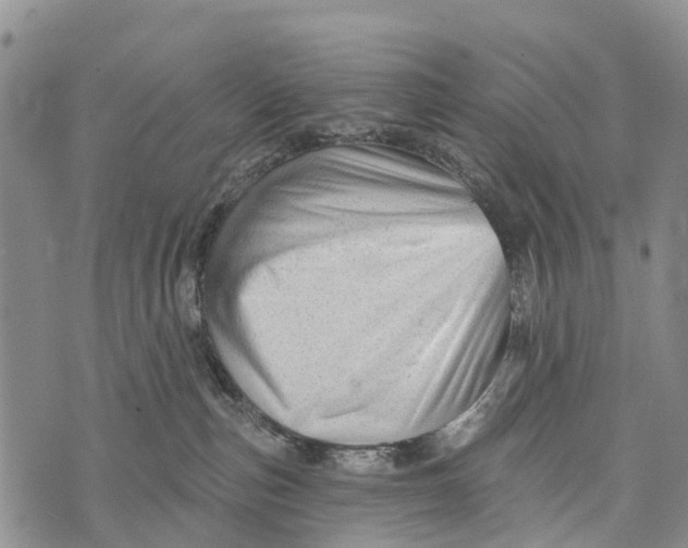 X0000073890187200609011702