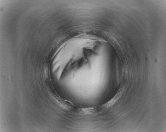 X0000073890188200609011702