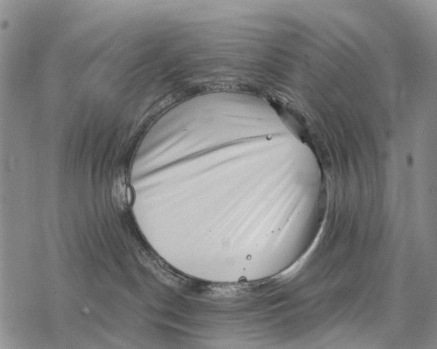 X0000073890190200609011702