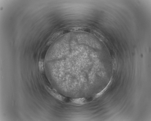 X0000073890191200609011702