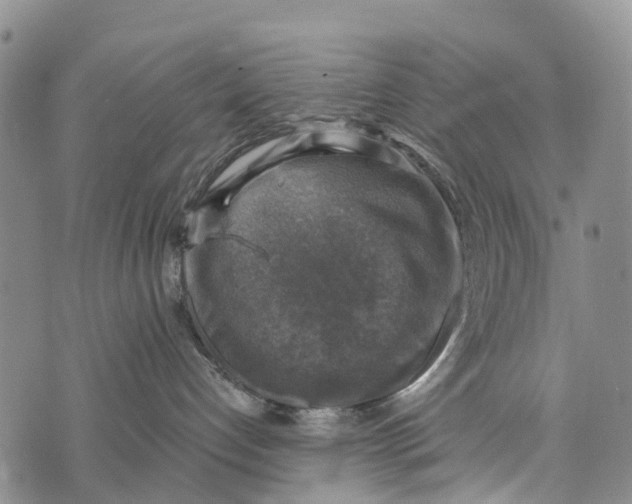 X0000073890192200609011702