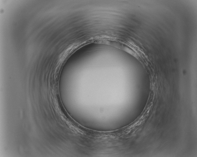 X0000073890193200609011702