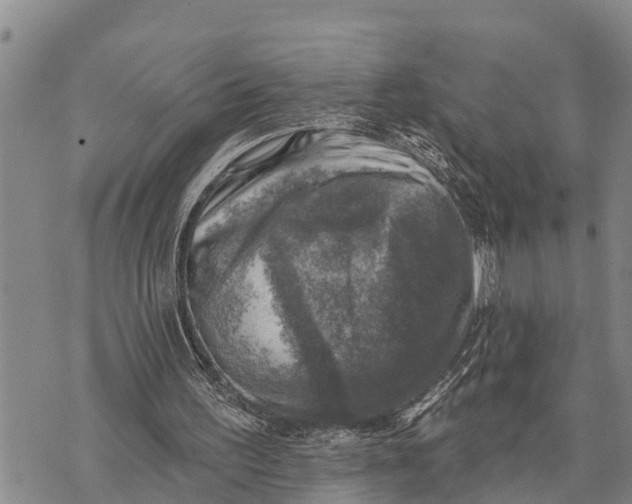 X0000073890195200609011702