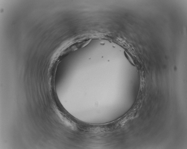 X0000073890197200609011702