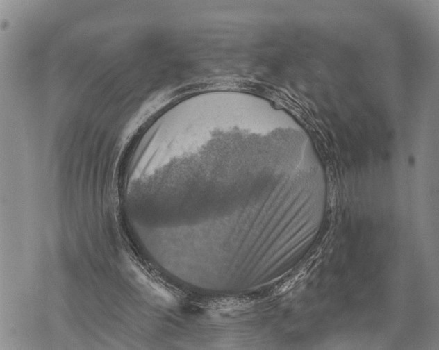 X0000073890198200609011702