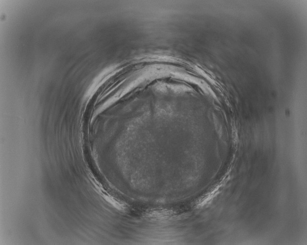 X0000073890199200609011702