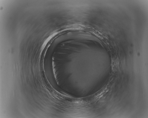 X0000073890200200609011702