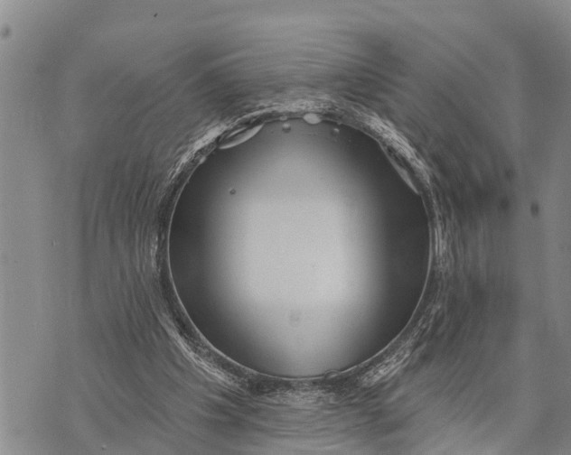 X0000073890201200609011701