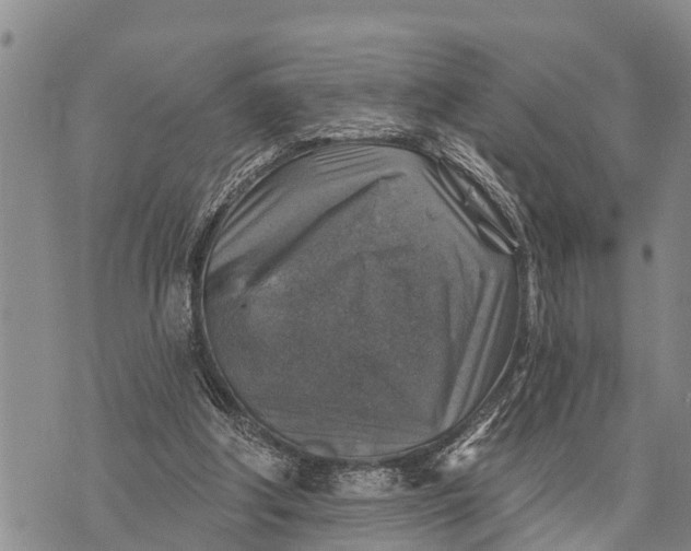 X0000073890202200609011701