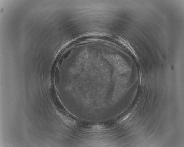 X0000073890204200609011701