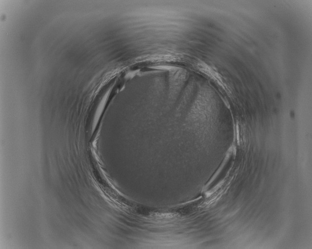 X0000073890205200609011701