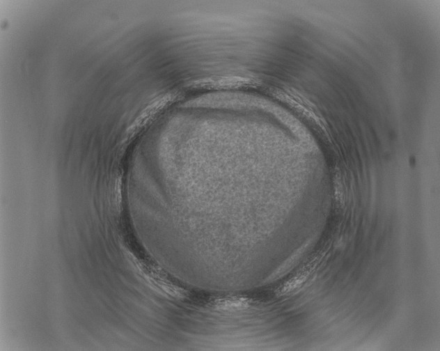 X0000073890206200609011701