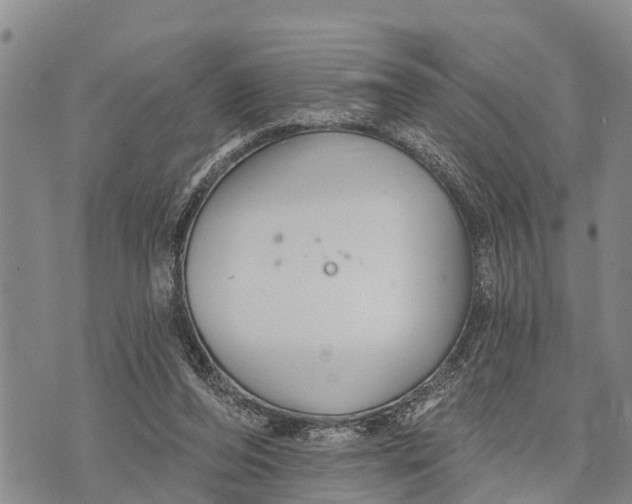 X0000073890208200609011701