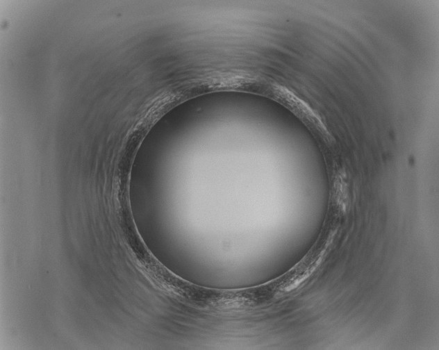 X0000073890209200609011701