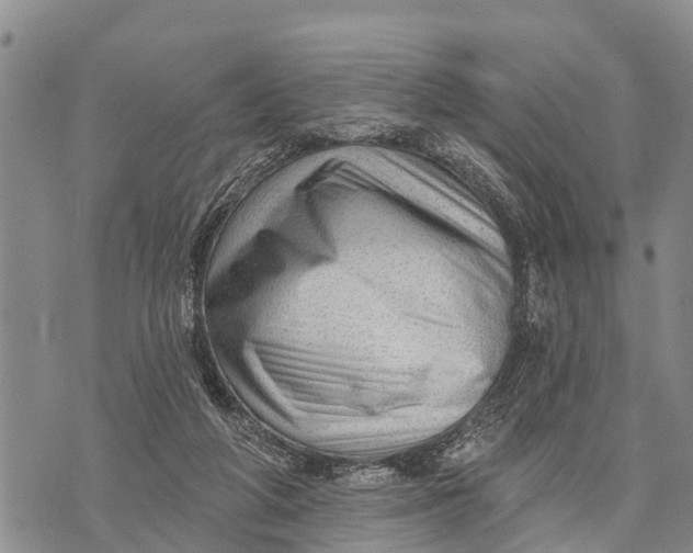 X0000073890210200609011701