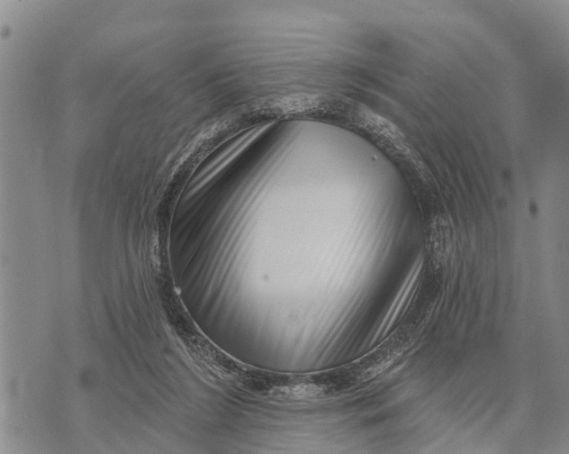 X0000073890212200609011701