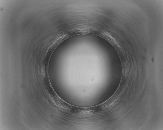 X0000073890213200609011701