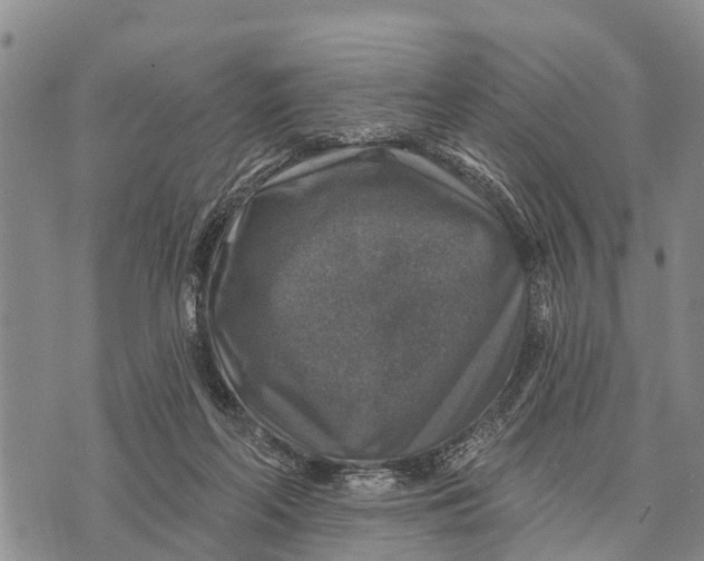 X0000073890214200609011701