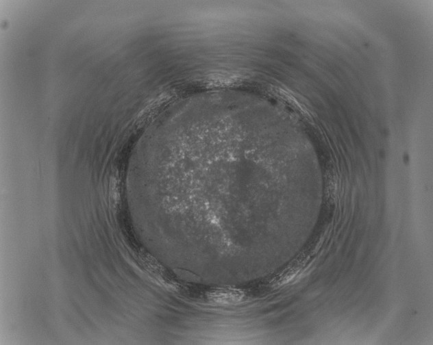 X0000073890215200609011701