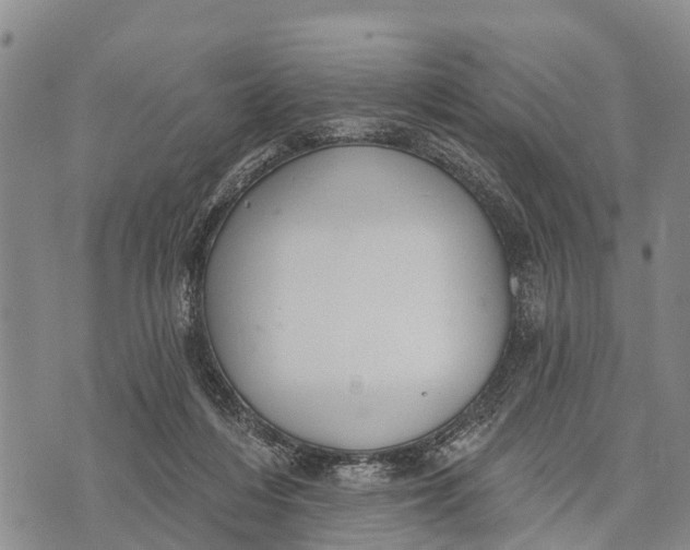 X0000073890216200609011701