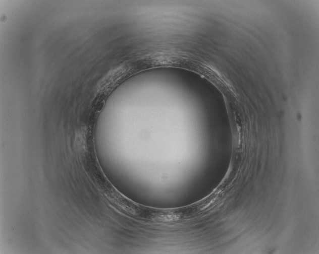 X0000073890217200609011701