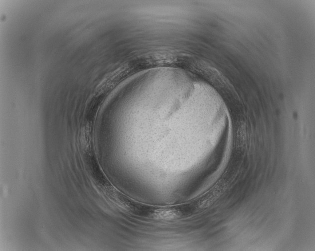 X0000073890218200609011701