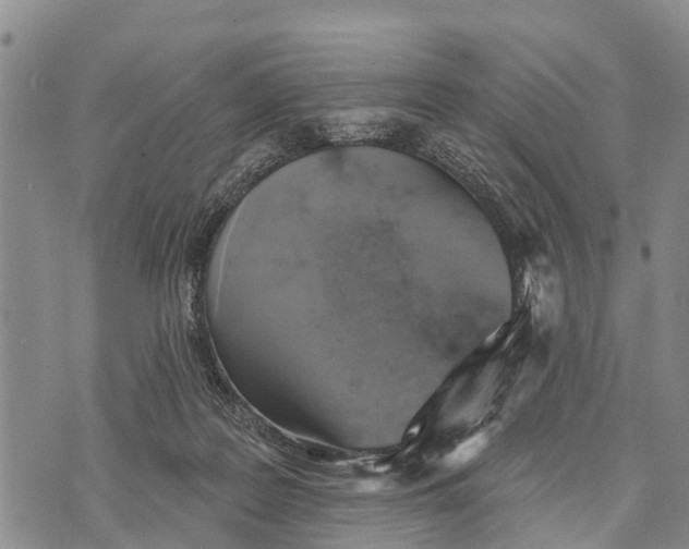 X0000073890219200609011701