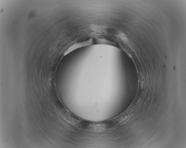 X0000073890221200609011701