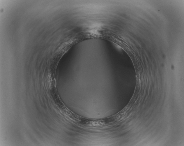 X0000073890223200609011701