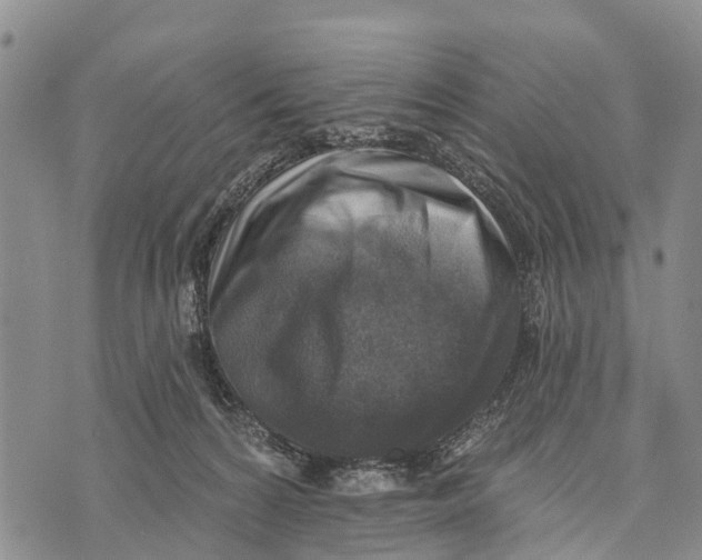 X0000073890224200609011701