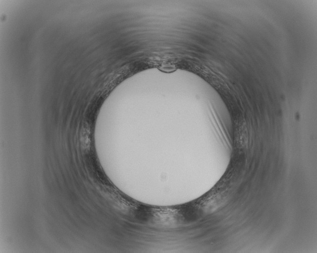 X0000073890226200609011701