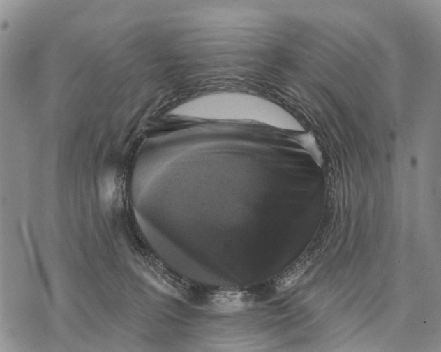 X0000073890227200609011701