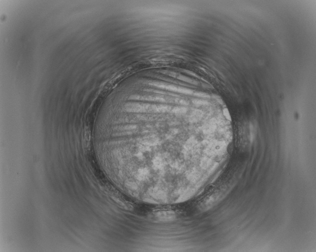 X0000073890228200609011701