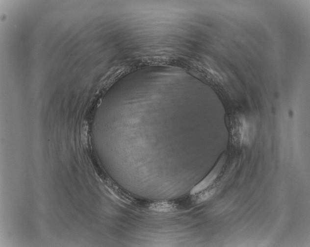 X0000073890231200609011701